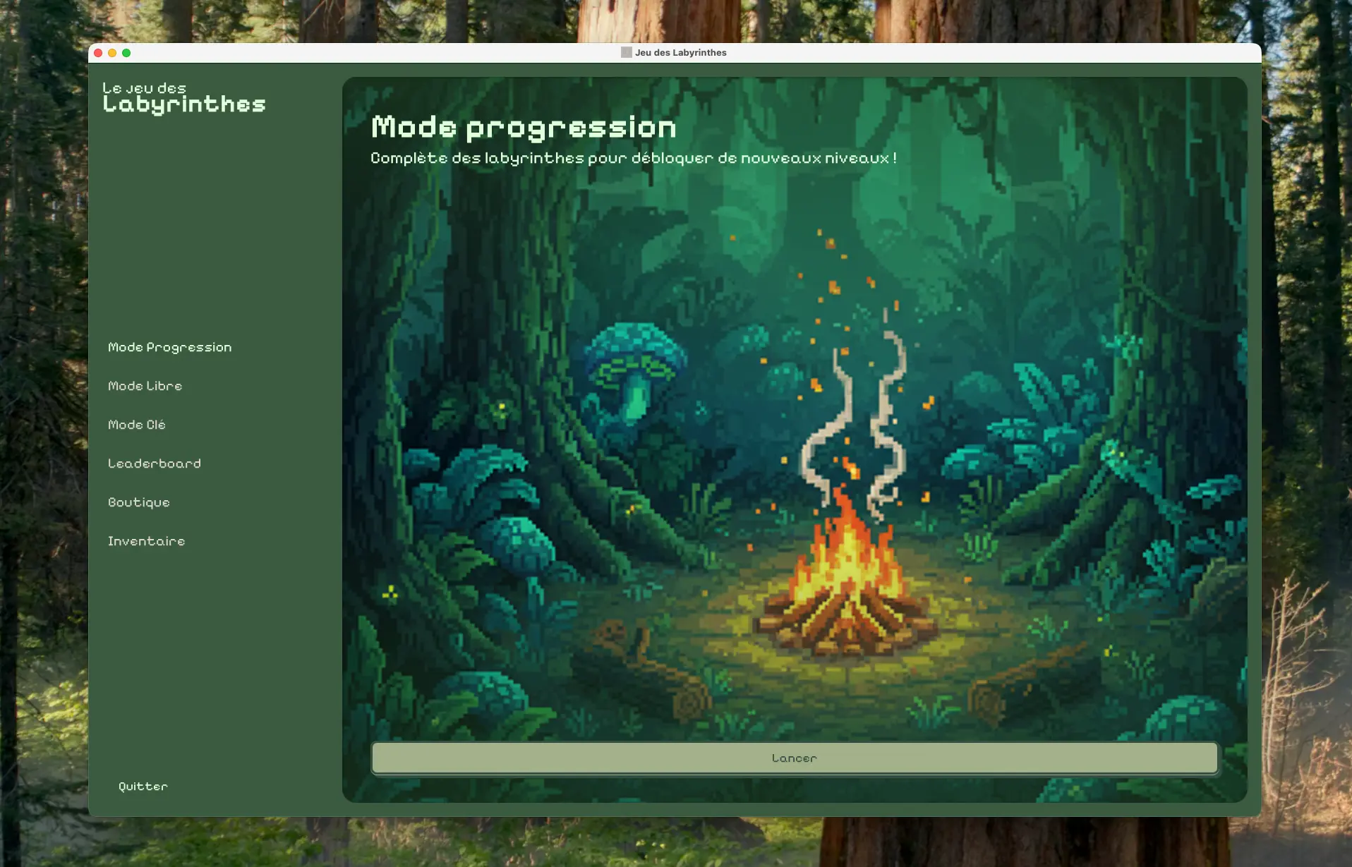 Screenshot of Le Jeu des Labyrinthes